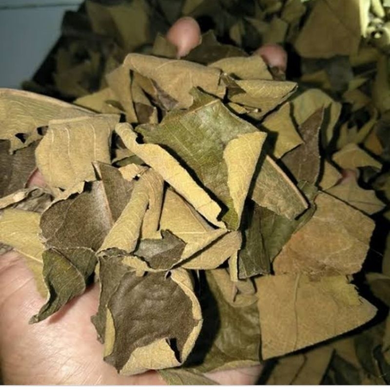 

Daun jati kering untuk ikan 100gram di ambil dadakan