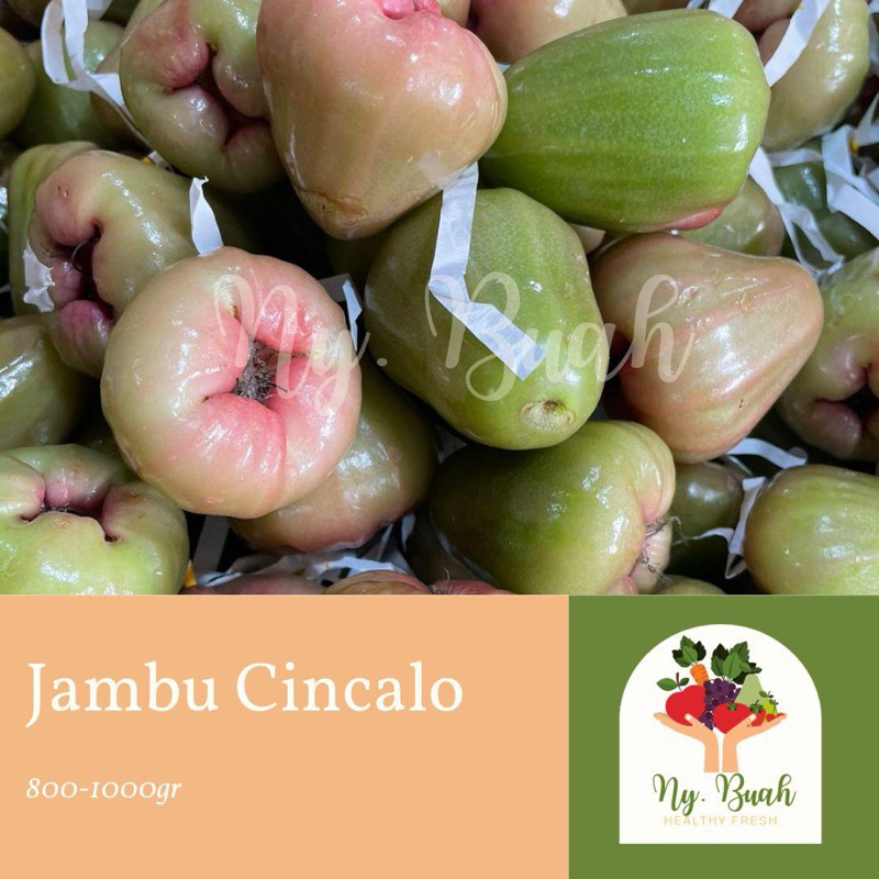 

Jambu Cincalo - Pilihan by Ny.Buah