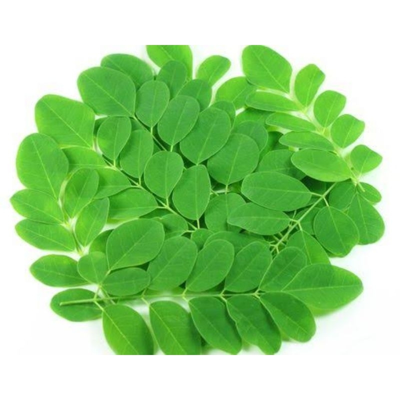 

Daun Kelor Segar 50 gr