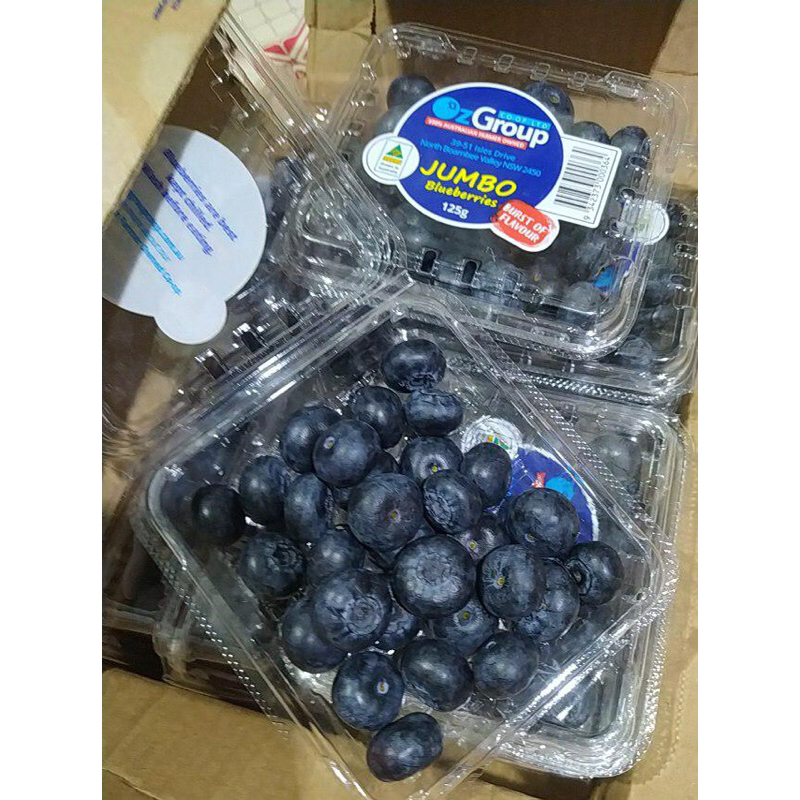 

Blueberry Australia 1 Dus (12 Pack) Fresh Import