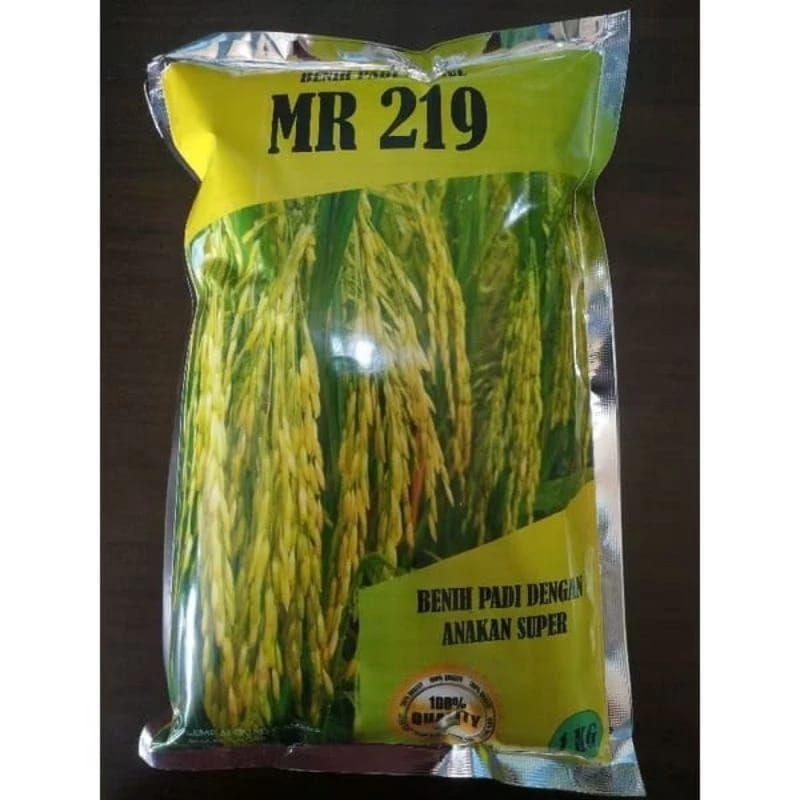 Benih padi Mr 219 Premium 1kg