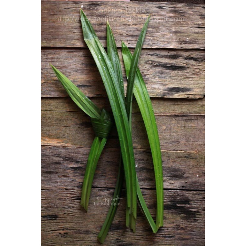 

DAUN PANDAN/1 IKAT