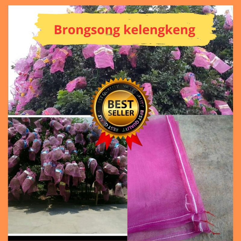 JAMIN ASLI. Pembungkus buah kelengkeng di pohon, Pembungkus buah lengkeng