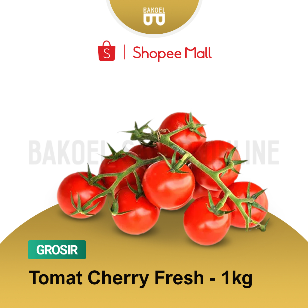 

Tomat Cherry - Grosir 1 Kg