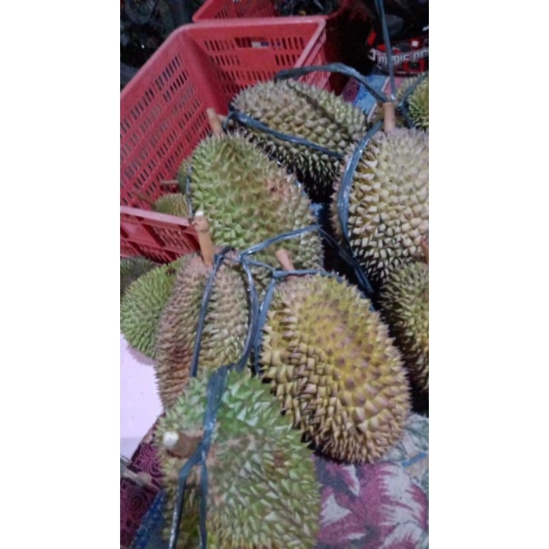 

Duren Durian Lokal Asli Banyumas Besar Premium Murah Asli Matang Pohon Manis Seger