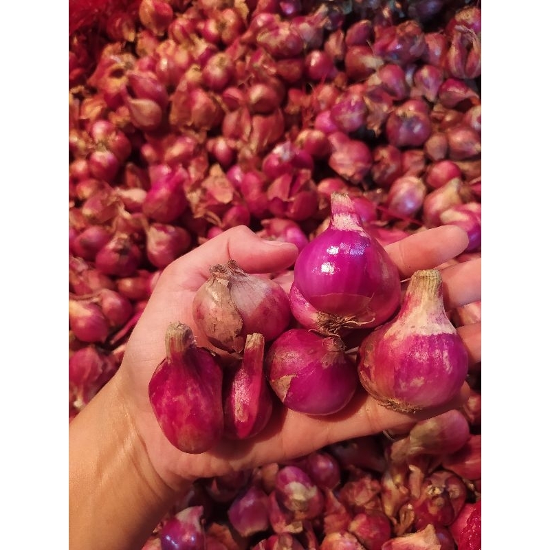 

BAWANG MERAH BREBES SUPER 500g