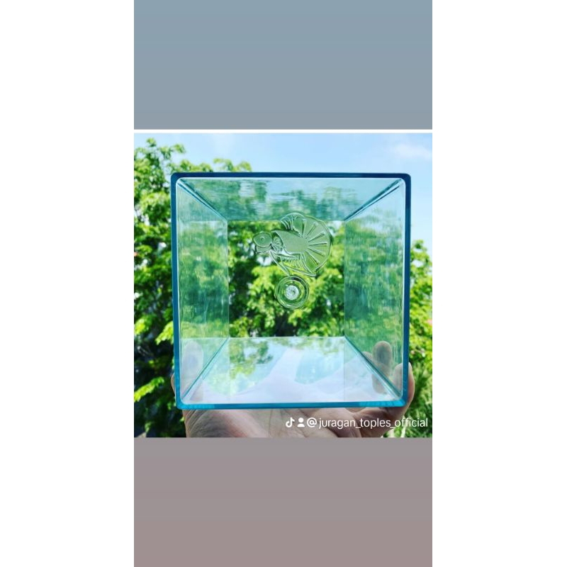 Aquarium mini Akrilik | Soliter ikan cupang Akrilik ikan cupang 4 Liter jamin Terbaik tidak ada gara