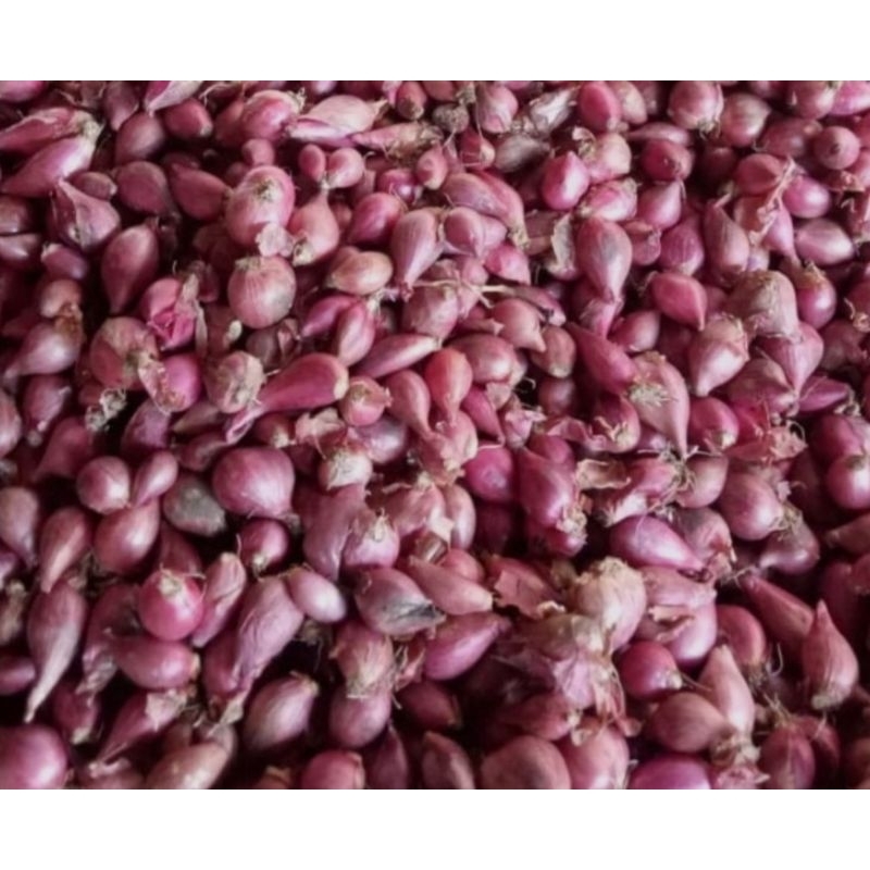 

bawang merah kering Brebes uk sedang
