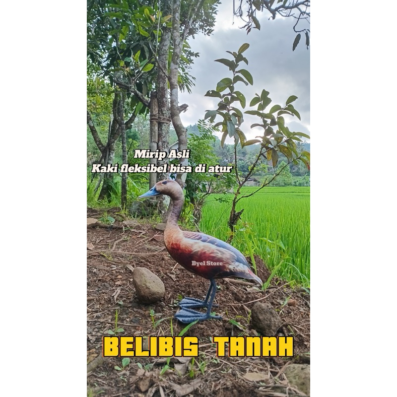 Jontrot patung belibis KEMBANG