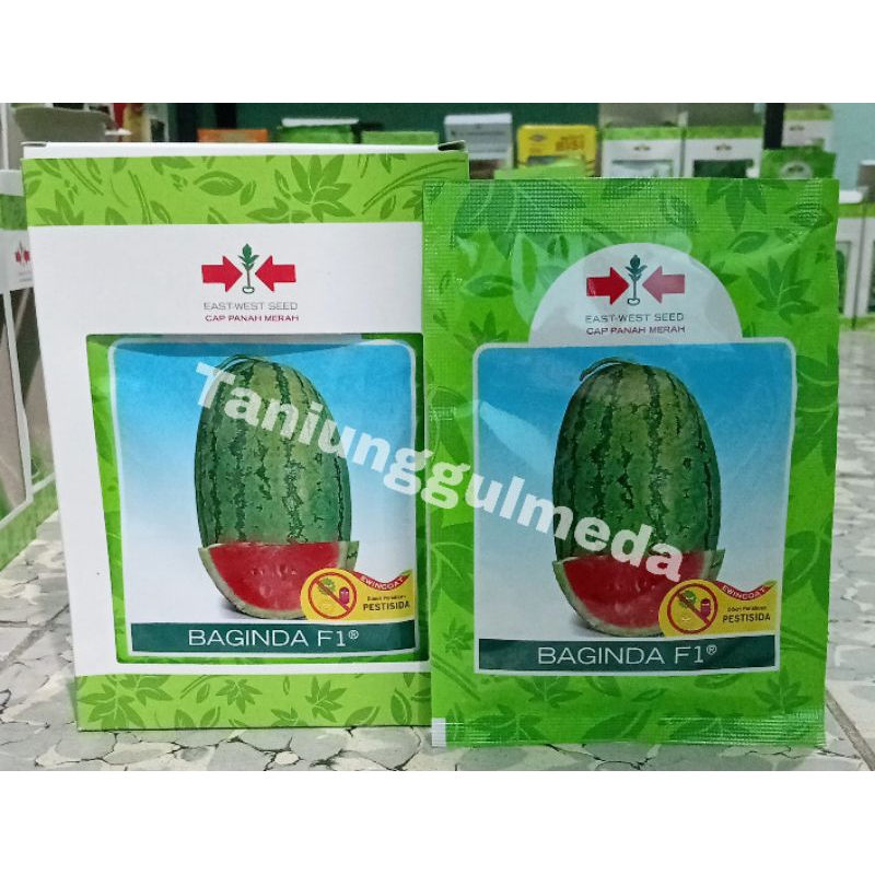 Benih Semangka Merah Baginda F1 isi 380 butir