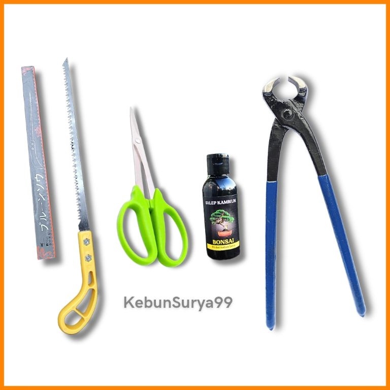 Kejutan Terbaik Paket Alat Bonsai 4 item Catok Bonsai Gergaji Mini Gunting Pruning Salep Kambium Plu