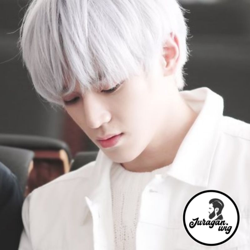 WIG KOREAN STYLE / WIG RAMBUT PRIA MODEL KOREA WARNA PUTIH / RAMBUT PALSU KEREN