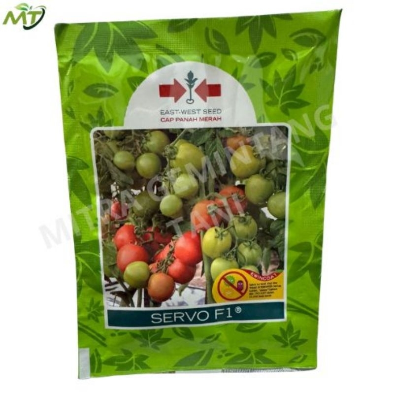 Benih Tomat Servo F1