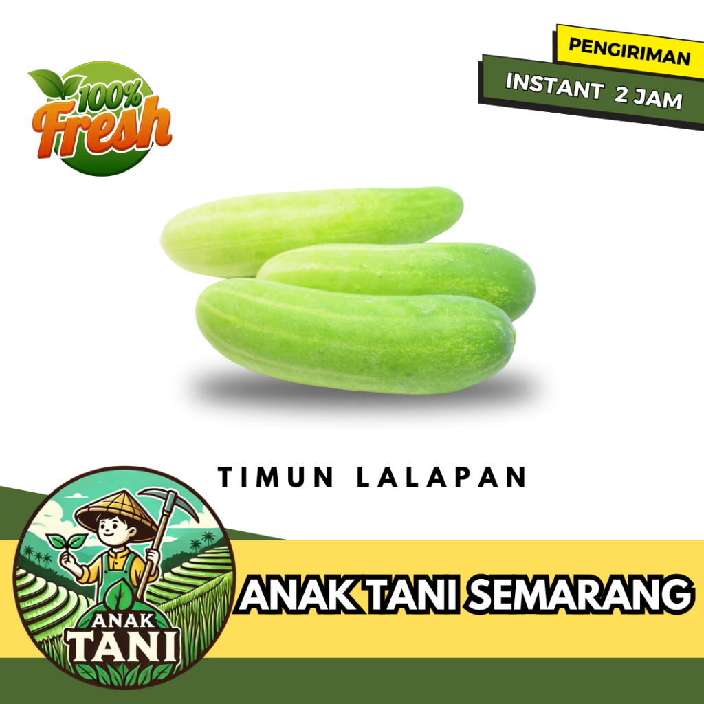 

[ANAK TANI] TIMUN / TIMUN SAYUR / TIMUN LALAPAN SEGAR 250 GR SIAP KIRIM INSTANT AREA SEMARANG