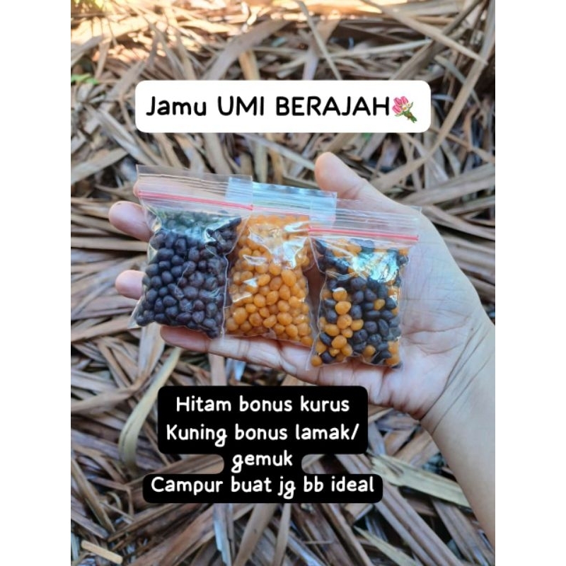 

TERLARIS‼️Jamu nenek berajah ORIGINAL (hrg per 3 bungkus)