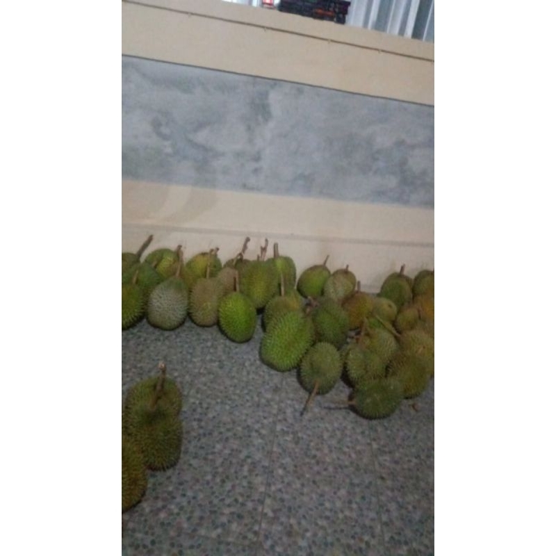 

Durian Duren Utuh Lokal Sedang Fresh Matang Pohon Murah Asli Banyumas