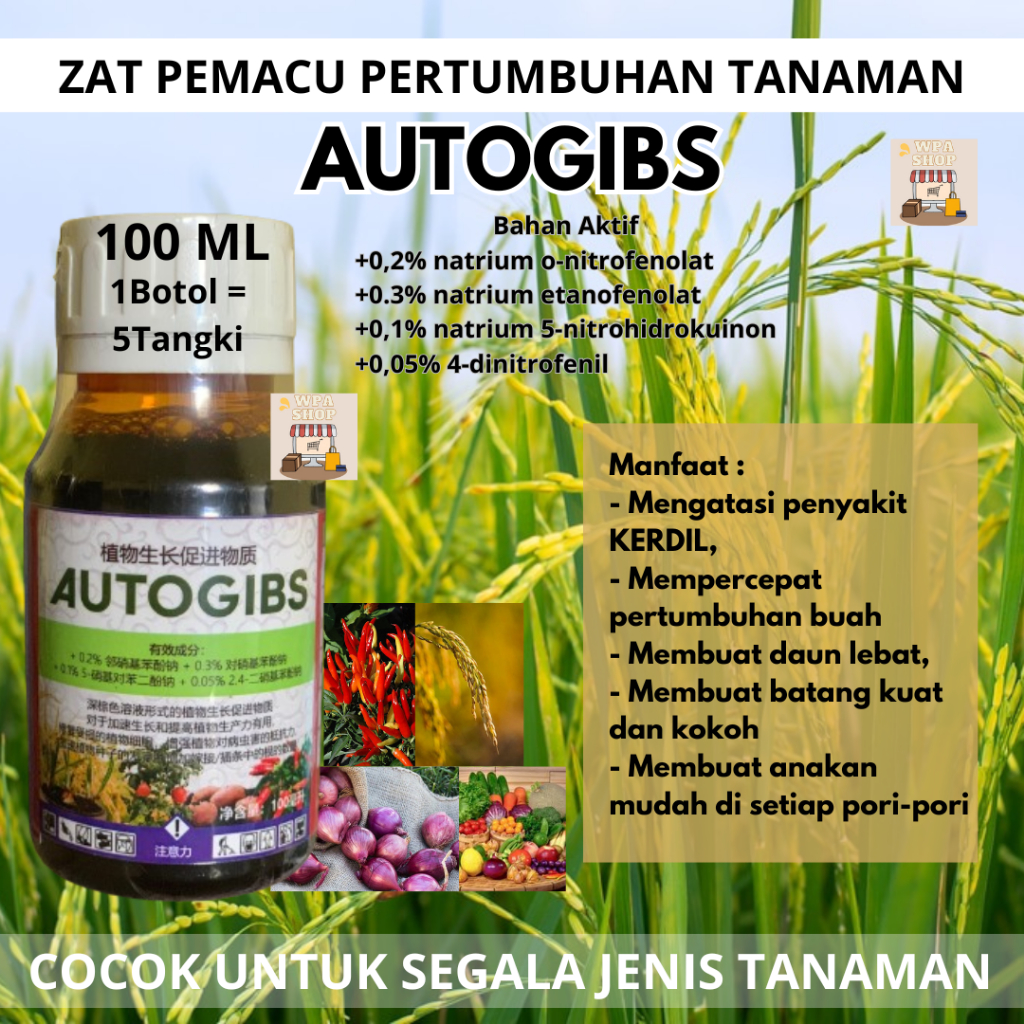 AUTOGIBS ZPT, AUTOGIBS PUPUK MENGOBATI PENYAKIT KERDIL PADI ASAM-ASAMAN DAN PERTUMBUHAN