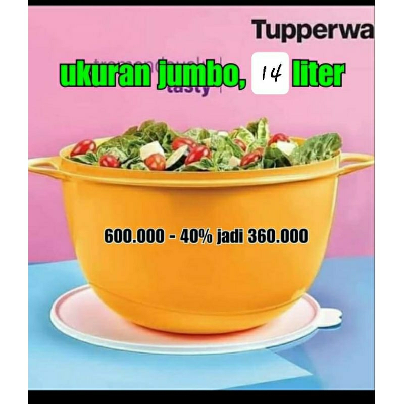 TUPPERWARE BOWL JUMBO..