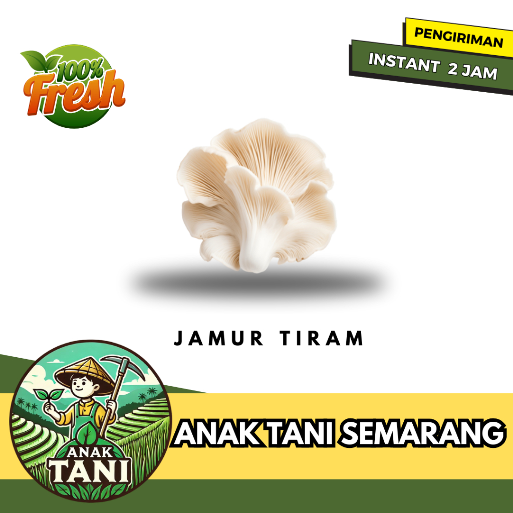 

[ANAK TANI] JAMUR TIRAM PER BUNGKUS SIAP KIRIM INSTANT AREA SEMARANG