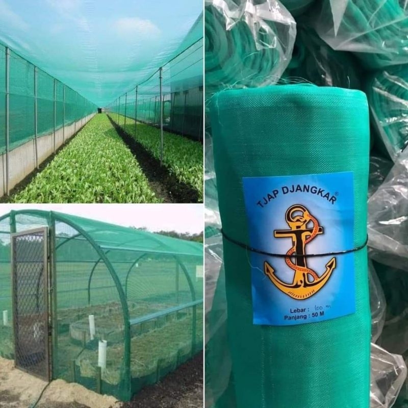 Waring Kasa Hijau | Insectnet hijau Lebar 2 meter 1 Roll Djangkar 50 meter