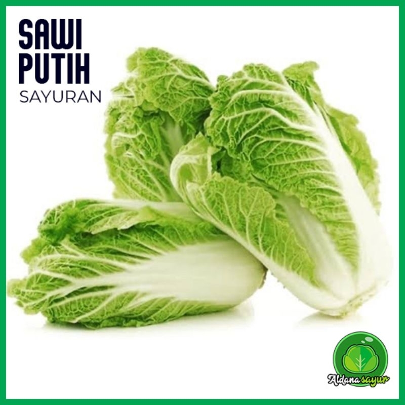 

Sawi Putih / Pecay Aldana Sayur Garut 1 kg