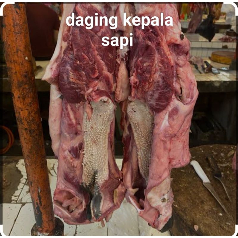 

daging kepala sapi 1kg