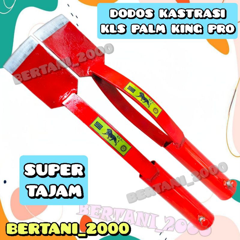 DODOS KASTRASI KLS PALM KING PRO SUPER TAJAM