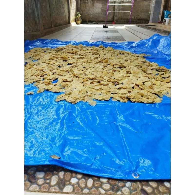 

3 KG PAKET EMPING MELINJO SUPER UKURAN 1 DAN 3