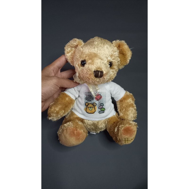 TEDDY BEAR KOSTUM | BONEKA TEDDY BEAR | BONEKA BERUANG KOSTUM | TEDDY BEAR BRANDED