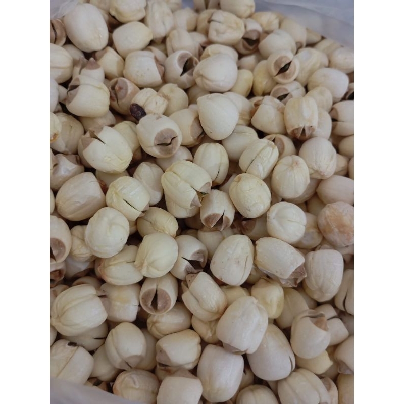

biji teratai / lian zi / lotus seed 100gr