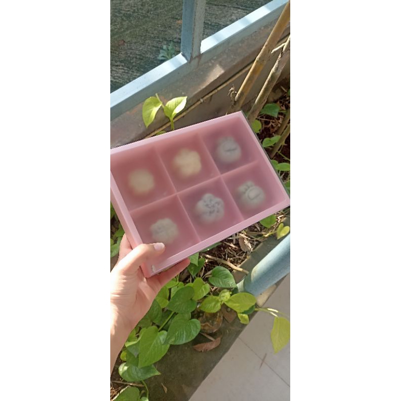 

SNOW MOONCAKE HOMEMADE