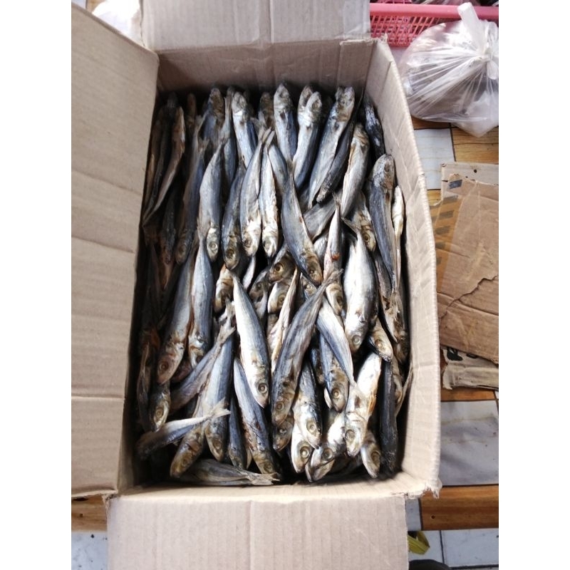 

Ikan asin benggol /klotok benggol/ikan benggol best seller