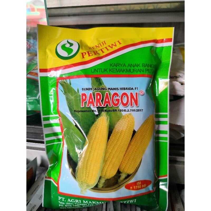 benih jagung PARAGON