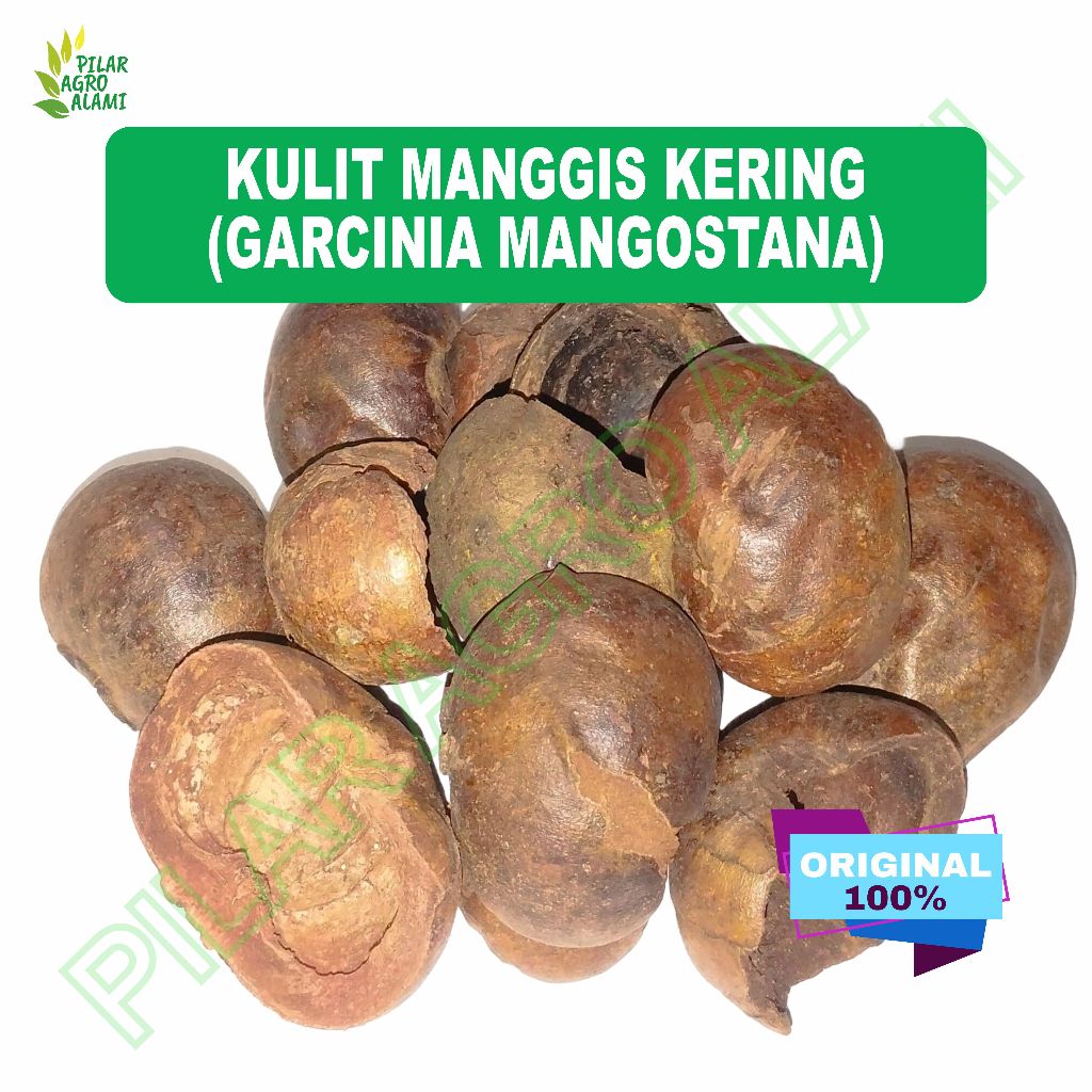 

Kulit manggis kering untuk obat herbal