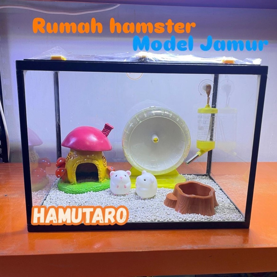Terarium Kandang Hamster aquarium Fullset medium Kandang Hamster unik