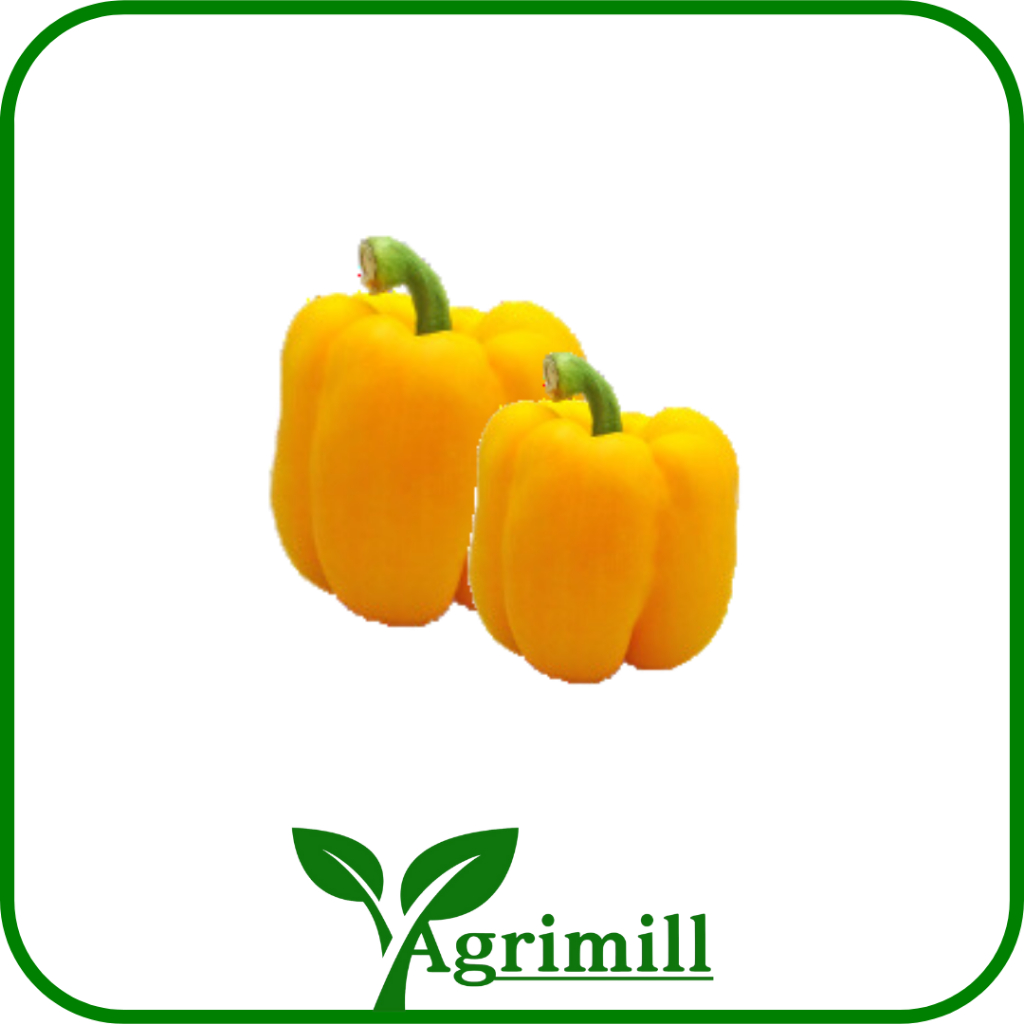

Paprika Kuning