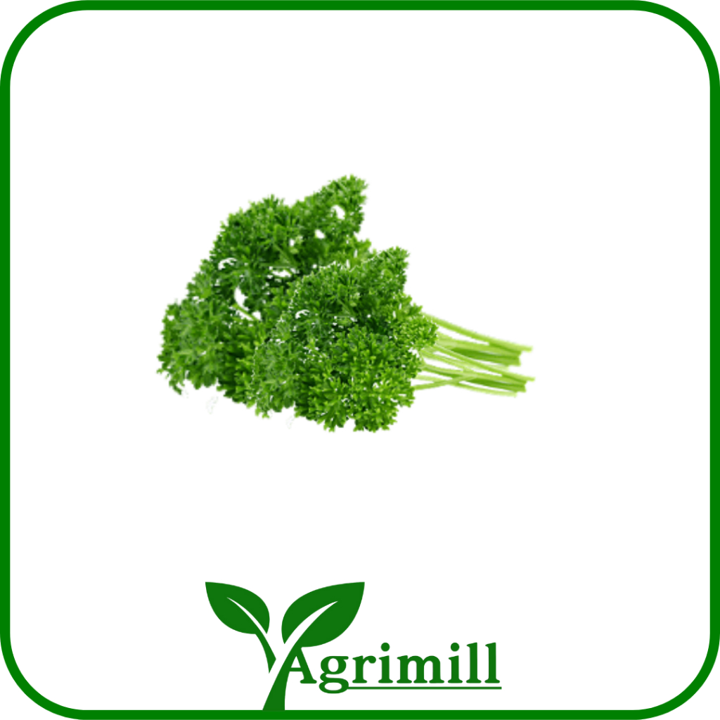 

Parsley