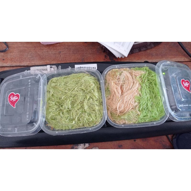 

Rambut nenek / Harumanis tebel