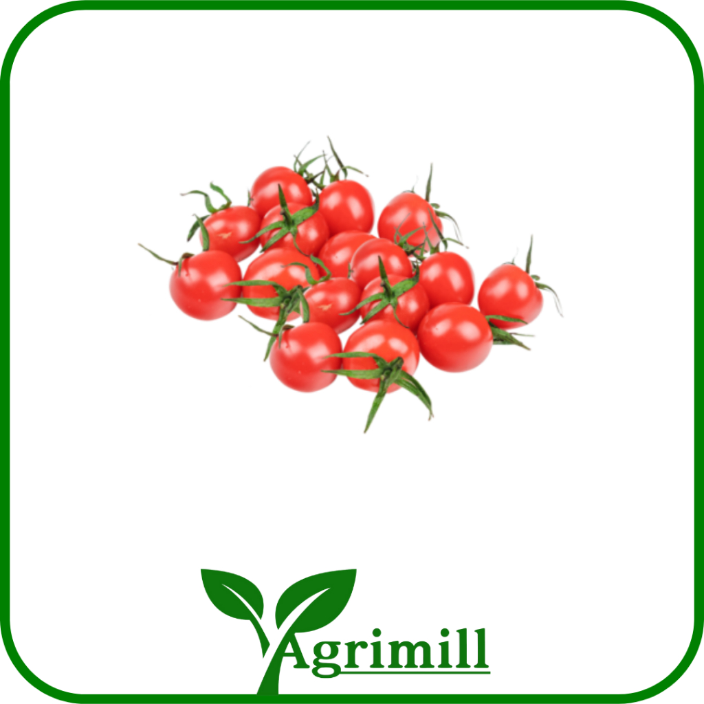 

Tomat Cherry Merah