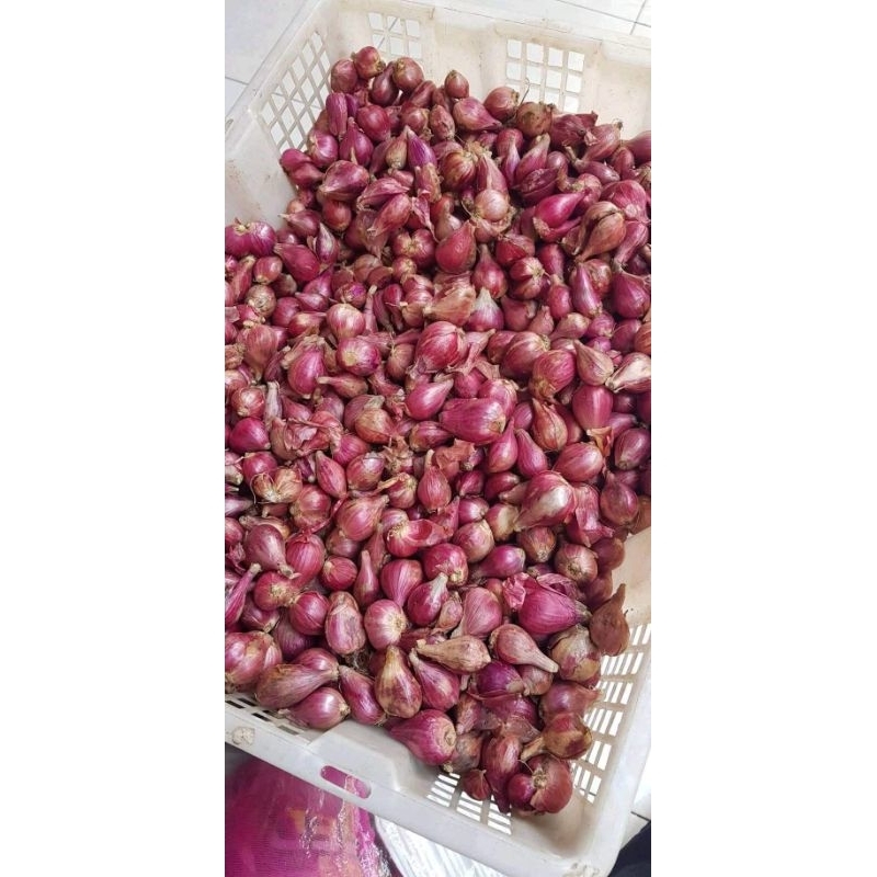 

BAWANG MERAH BREBES 100G