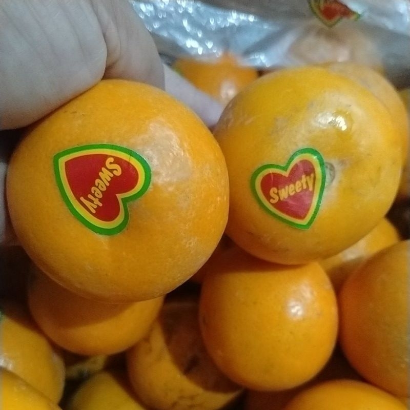 

Jeruk baby Mandarin/baby wogan/muscot