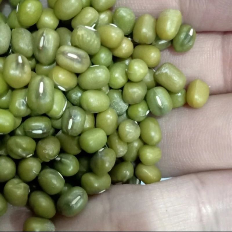 

Kacang Hijau/Ijo Import Australia/Green Mung Beans Fresh 500 gram