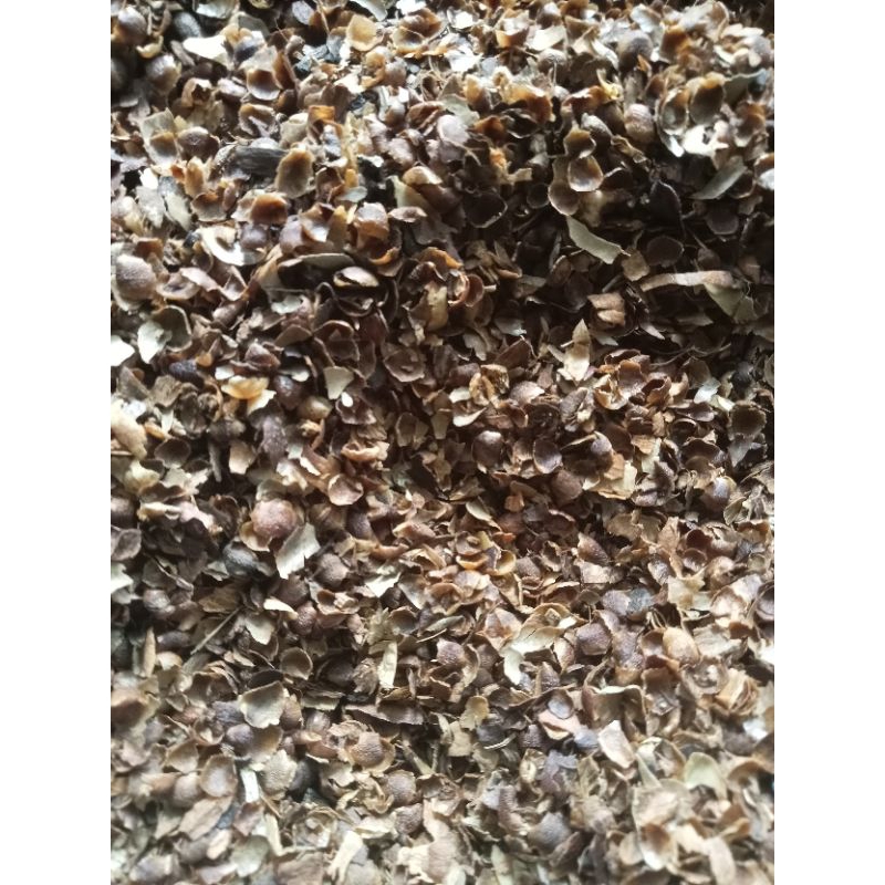 

rempah rempah kelopak cengkeh 1kg kering.