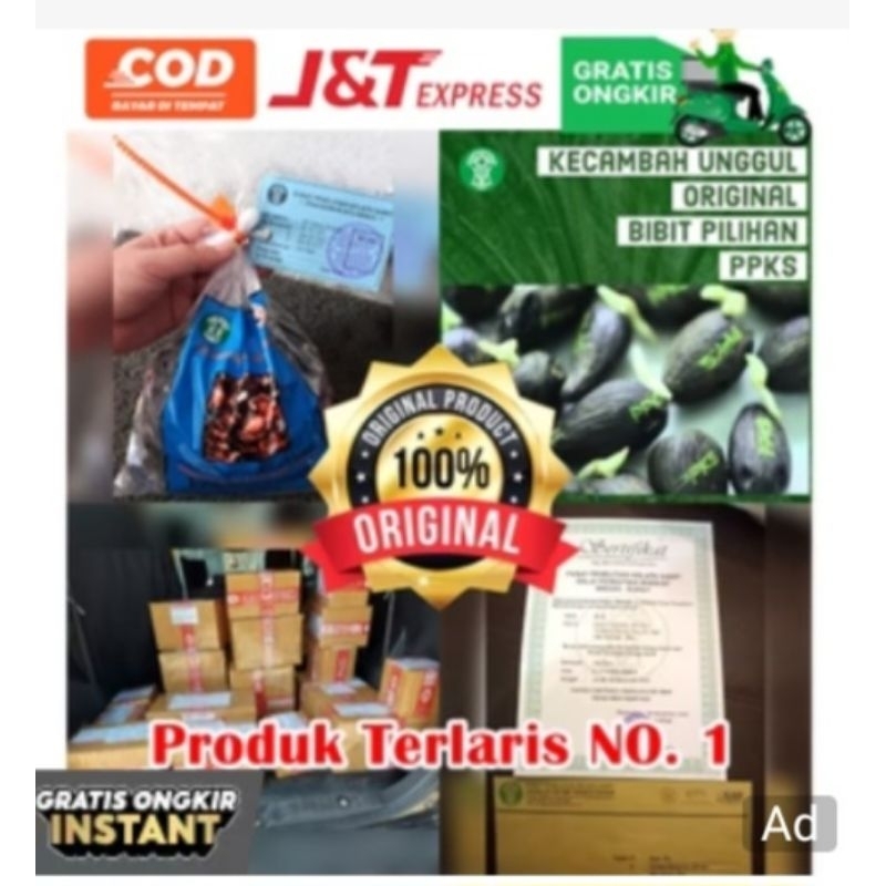 DXP SIMALUNGUN KUALITAS UNGGUL