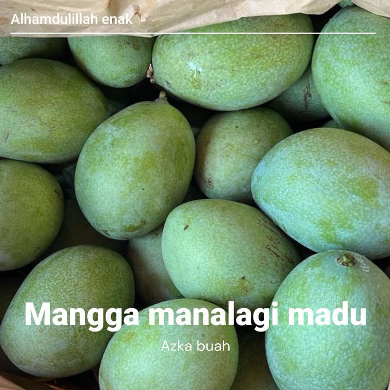 

buah mangga manalagi madu