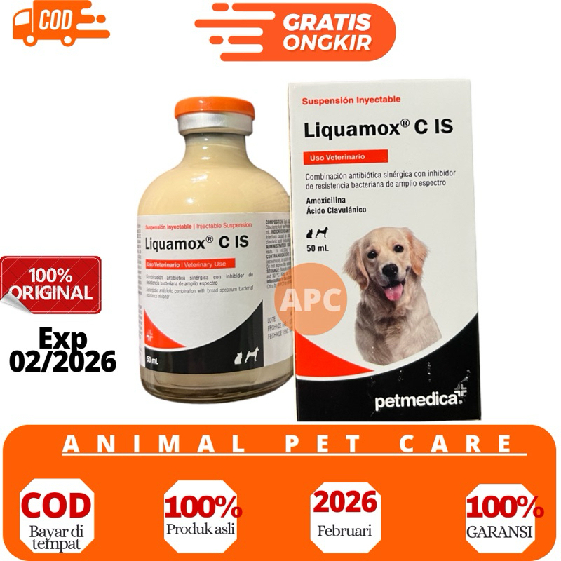 LIQUAMOX - Obat hewan injeksi Anjing Kucing