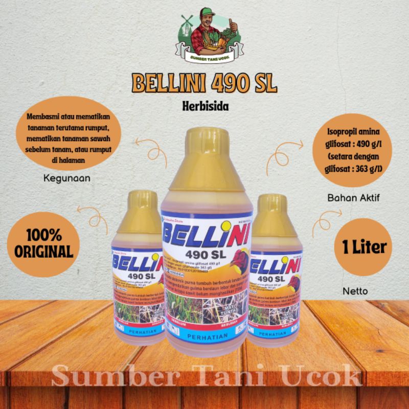 HERBISIDA || BELINI 490 SL