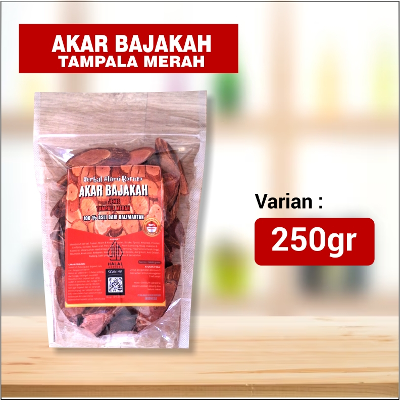 

GFD Akar Bajakah Tampala Merah Asli Kalimantan Terbukti Khasiatnya 100% Orinal