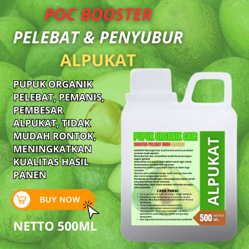 Pupuk Buah ALPUKAT Cepat Berbuah / Pupuk Alpukat Anti Rontok / Pupuk Alpukat Cepat Berbuah / Pupuk P