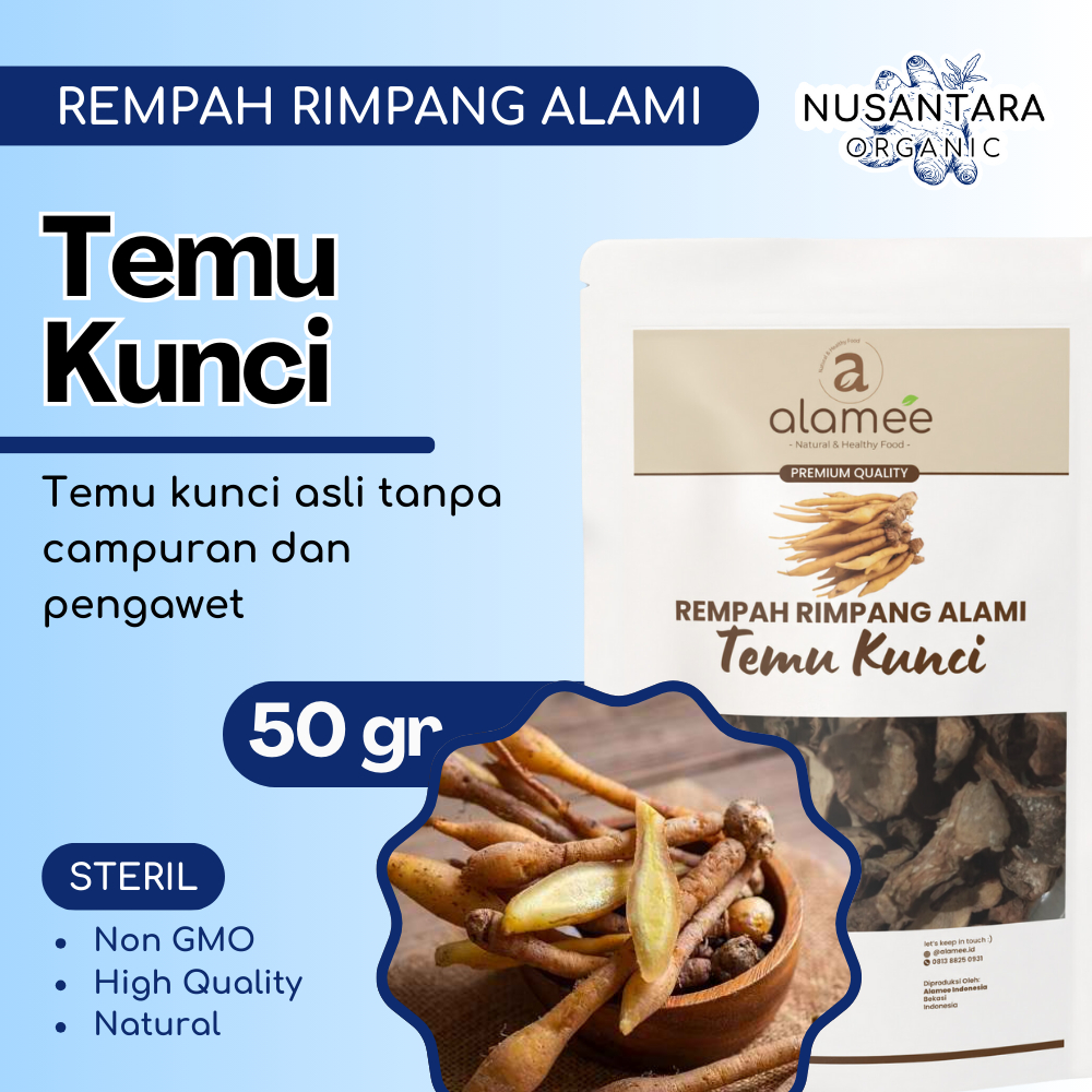 

ALAMEE Temu Kunci Kering 50 gram Fingerroot Iris Rempah Rimpang Organik Bumbu Masakan Alami